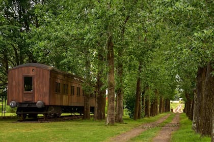 Trenes, recuerdos y tranquilidad en Vagues