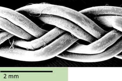 Trenzado producido a partir del insumo producido por gusanos de seda