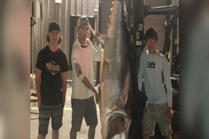 Tres adolescentes de 17 años salieron a pescar y capturaron a un atún rojo de casi tres metros de largo. La criatura gigante se vendió a dos mil dólares