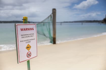 Tres ataques de tiburones dejan dos heridos en playas de Australia