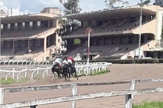 Jockeys desprotegidos en La Plata y una reunión “normal” que duró apenas una carrera