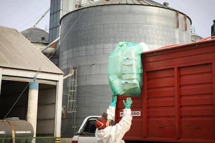 Tres de cada cuatro envases vacíos de fitosanitarios ya se derivan a reciclaje