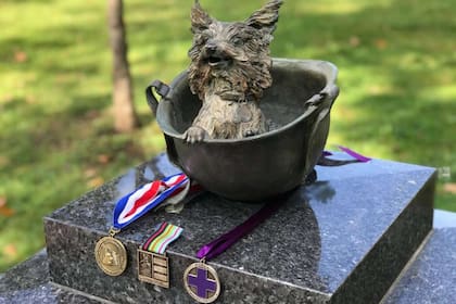 Tres de las medallas al valor que recibió Smoky por su heroica actuación en el Pacífico Sur, otorgadas por entidades Estados Unidos y Australia