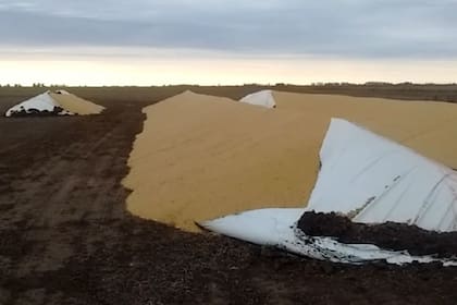 Tres de los silobolsas rotos en uno de los campos en Pehuajó