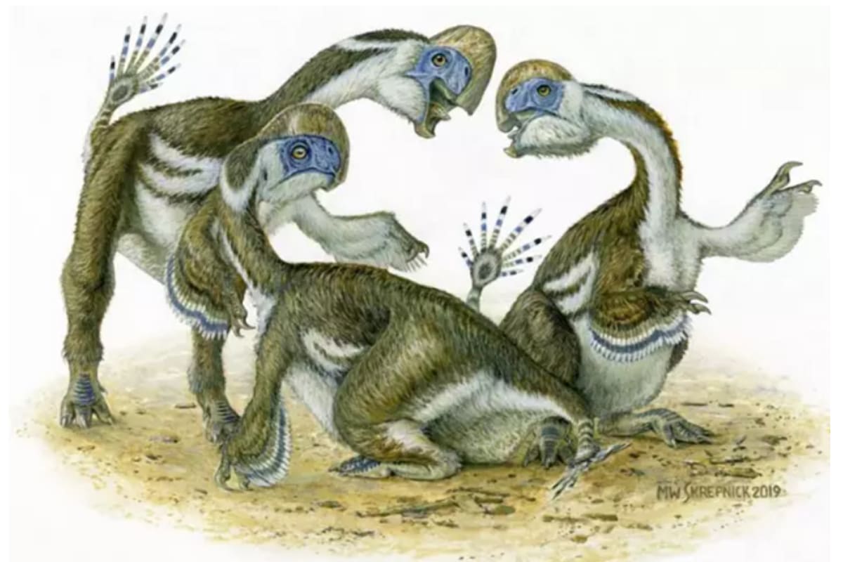 Tres dinosaurios Oksoko avarsan