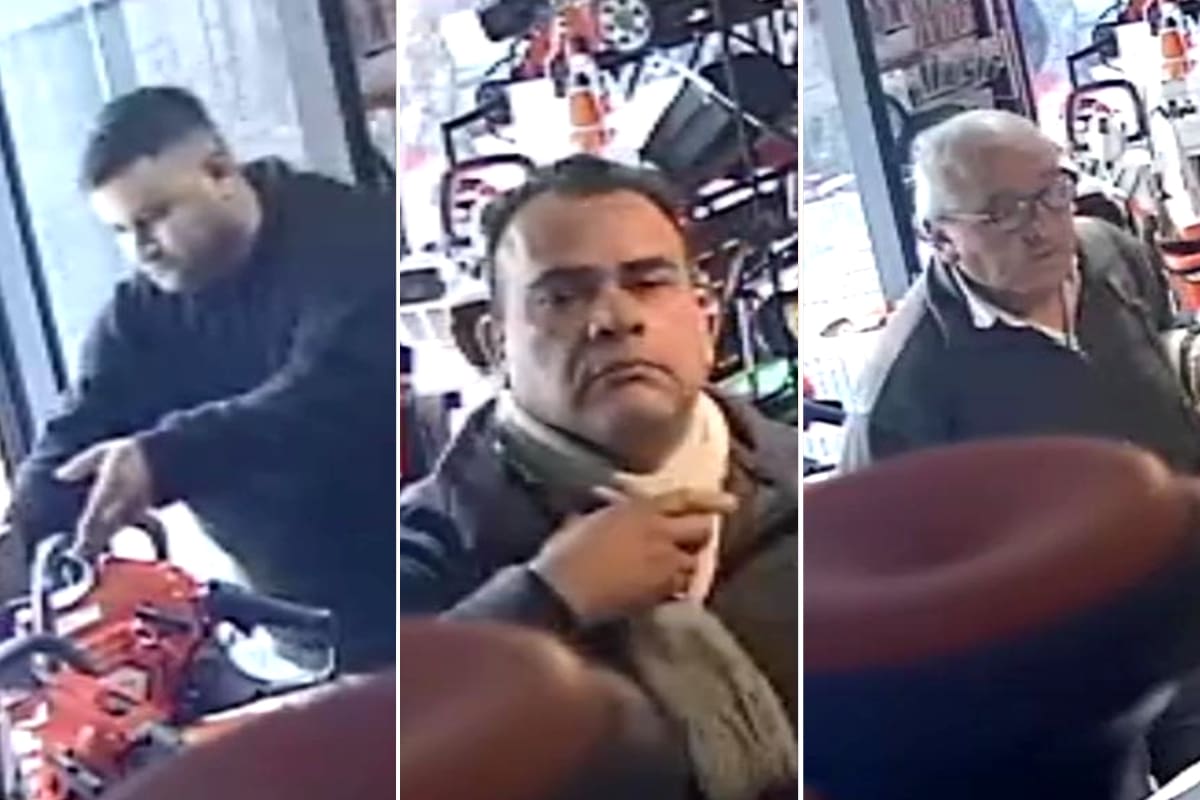 Tres hombres ingresaron a un local de jardinería, simularon ser clientes y terminaron llevándose dos motosierras