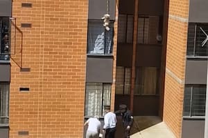 Tres hombres lograron salvar a un perro que quedó colgado desde una ventana (Captura video)