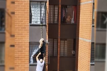 Tres hombres lograron salvar a un perro que quedó colgado desde una ventana (Captura video)