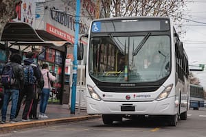 Tres líneas de colectivos suspenden su servicio en el conurbano bonaerense por tiempo indeterminado.