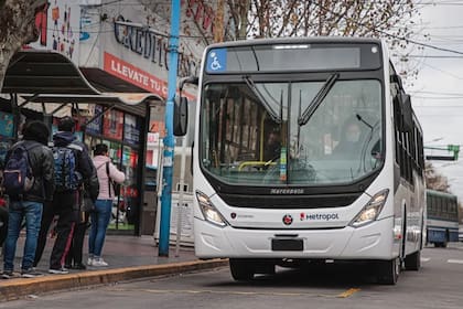 Chofer de colectivo de la zona del Gran Buenos Aires