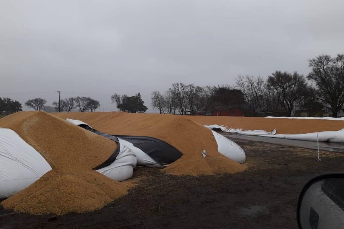 tres silobolsas lobería