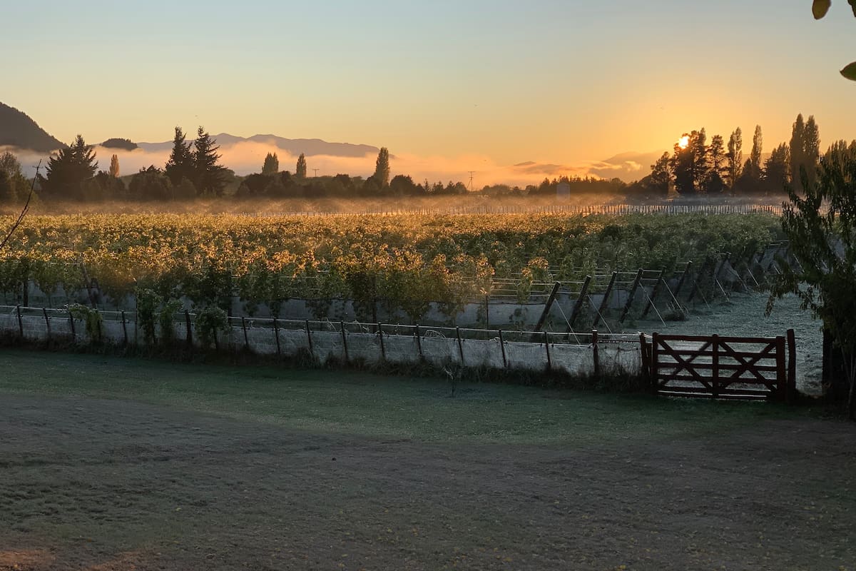 Trevelin acaba de ser reconocida como Indicación Geográfica, la primera de esta provincia, y ofrece blancos filosos y Pinot Noir