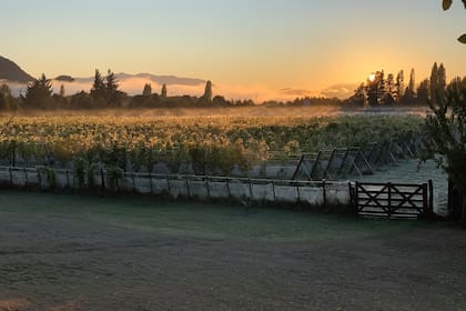 Trevelin acaba de ser reconocida como Indicación Geográfica, la primera de esta provincia, y ofrece blancos filosos y Pinot Noir