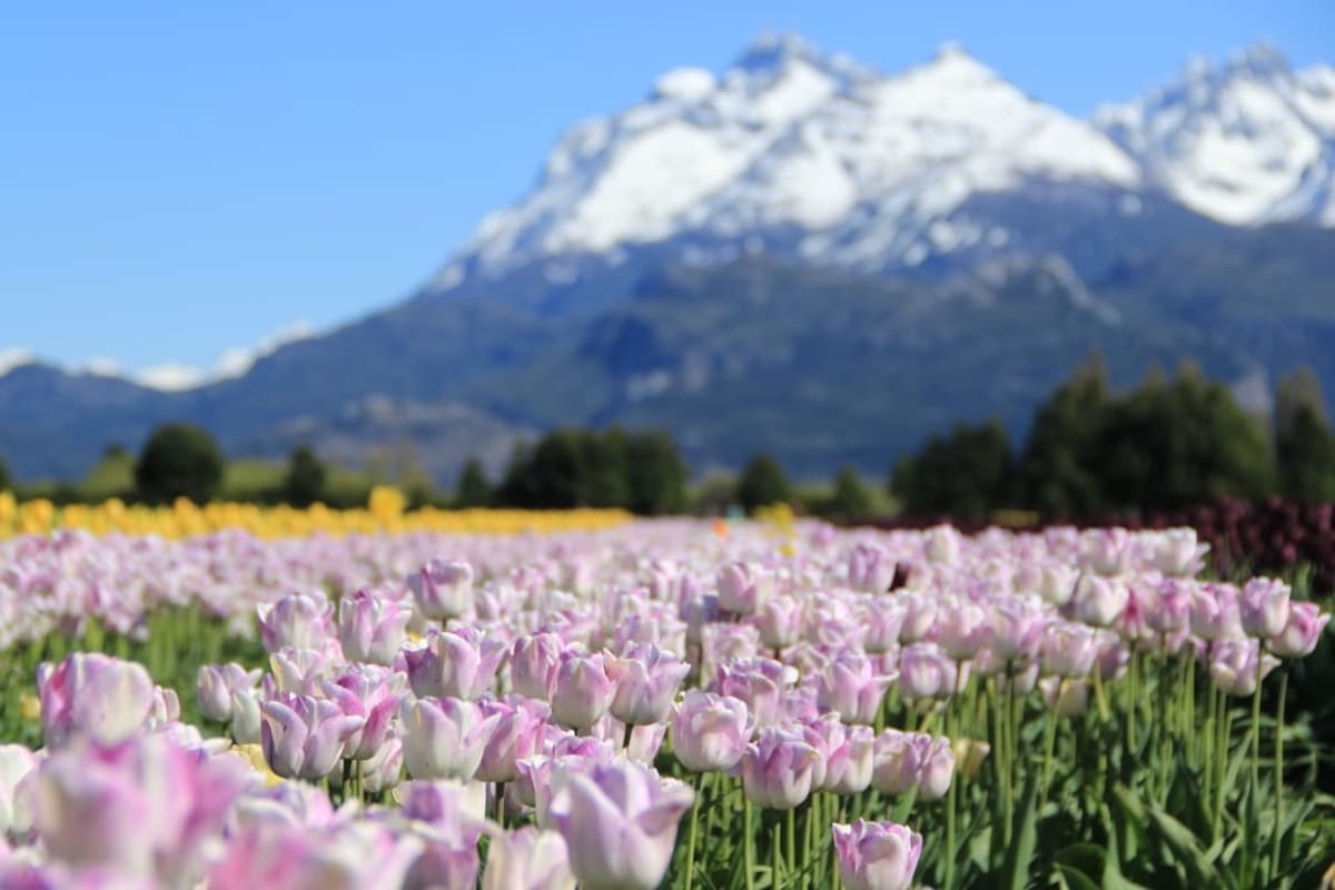 Trevelin, en Chubut, es uno de los pueblos postulados por la Argentina