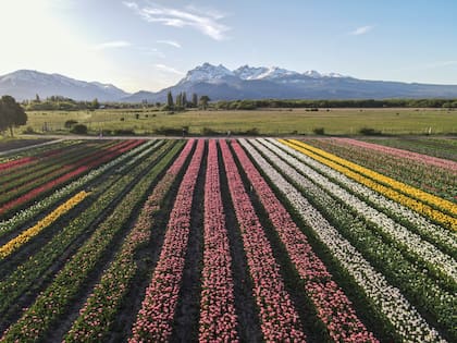 Trevelin fue elegido uno de los mejores pueblos turísticos del mundo en 2023.
