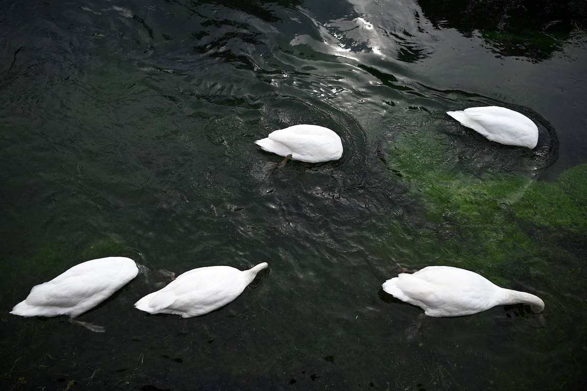 Treviso, Italia. Edición fotográfica de Jesica Rizzo