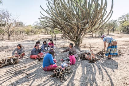 Los diseñadores trabajaron el proyecto con la comunidad wichi, en Formosa