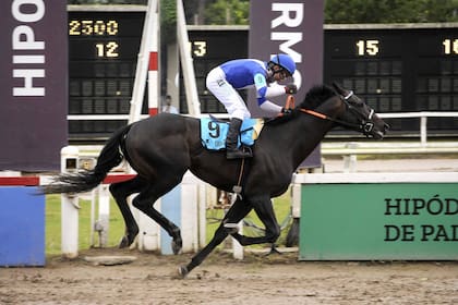 Great Escape se impuso por 15 cuerpos en el Gran Premio Nacional (G1).