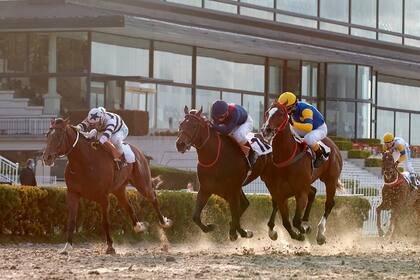 Triple Corona turf Pollas Palermo Preakness Karamanos