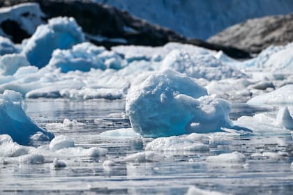 Trozos de hielo en la Antártida