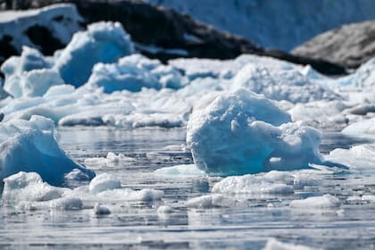 Trozos de hielo en la Antártida