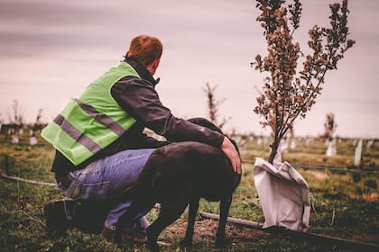 Trufas del Fin del Mundo