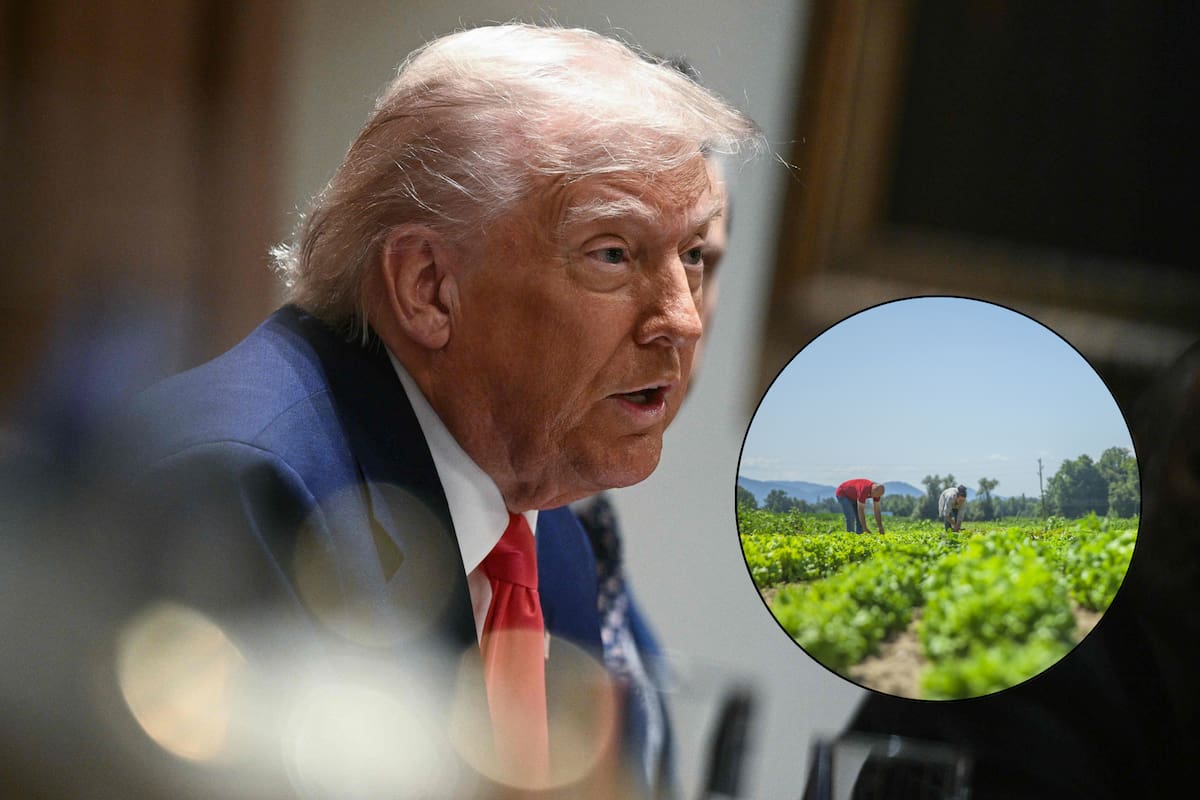 Trump anunció que los empleadores podrán patrocinar el regreso legal de trabajadores indocumentados de industrias clave si estos salen del país primero