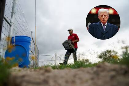 Trump planteó una vía transitoria para permitir que ciertos trabajadores del campo sin papeles permanezcan en Estados Unidos, con respaldo de sus empleadores