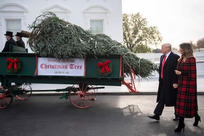 Trump recibió ayer el árbol de Navidad que adornará la Casa Blanca