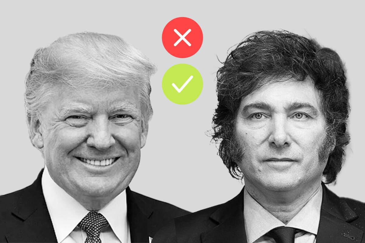 Trump y Milei, bajo la lente de los expertos