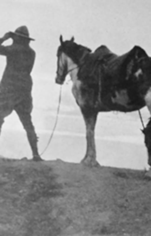 Tschiffely y los caballos cruzan una colina cerca del río Apurímac, en el Alto Perú.
Fotografía tomada del artículo publicado en National Geographic “Buenos Aires to Washington by horse”, febrero de 1929, y replicada en la página web de la Municipalidad de Ayacucho
