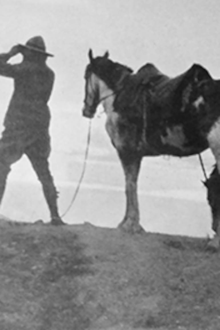 Tschiffely y los caballos cruzan una colina cerca del río Apurímac, en el Alto Perú.
Fotografía tomada del artículo publicado en National Geographic “Buenos Aires to Washington by horse”, febrero de 1929, y replicada en la página web de la Municipalidad de Ayacucho