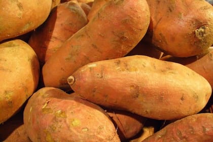 Este tubérculo de gusto similar al zapallo, zanahoria y batata se ha ganado un lugar privilegiado en lo que refiere al consumo de alimentos saludables
