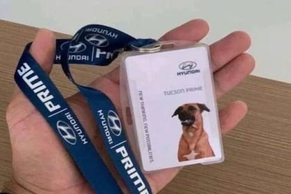 Tucson es un integrante más del staff de la concesionaria