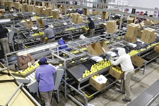 Un plan para lograr certezas y un desarrollo sostenible