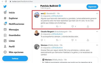 Tuits a los que les puso "me gusta" Patricia Bullrich