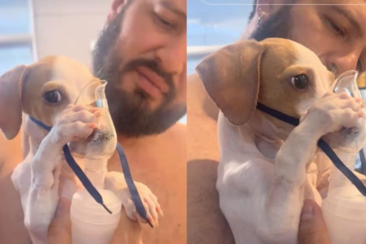 Tunico se volvió viral en Internet al nebulizarse solo