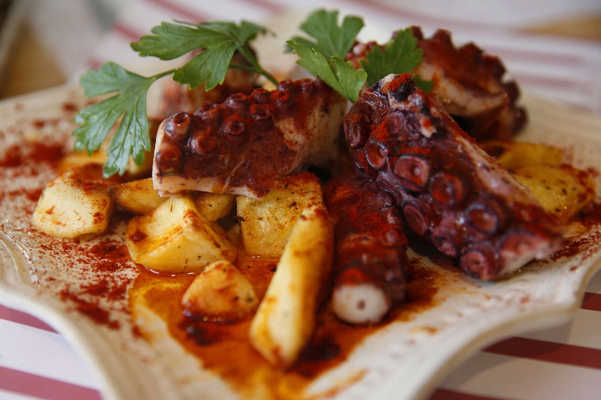 Turistas y residentes coinciden en destacar la excelencia de los platos y la variedad de opciones de Mar del Plata, uno de los polos gastronómicos más importantes de la Argentina