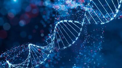Tus genes no han cambiado. El ambiente que te rodea sí