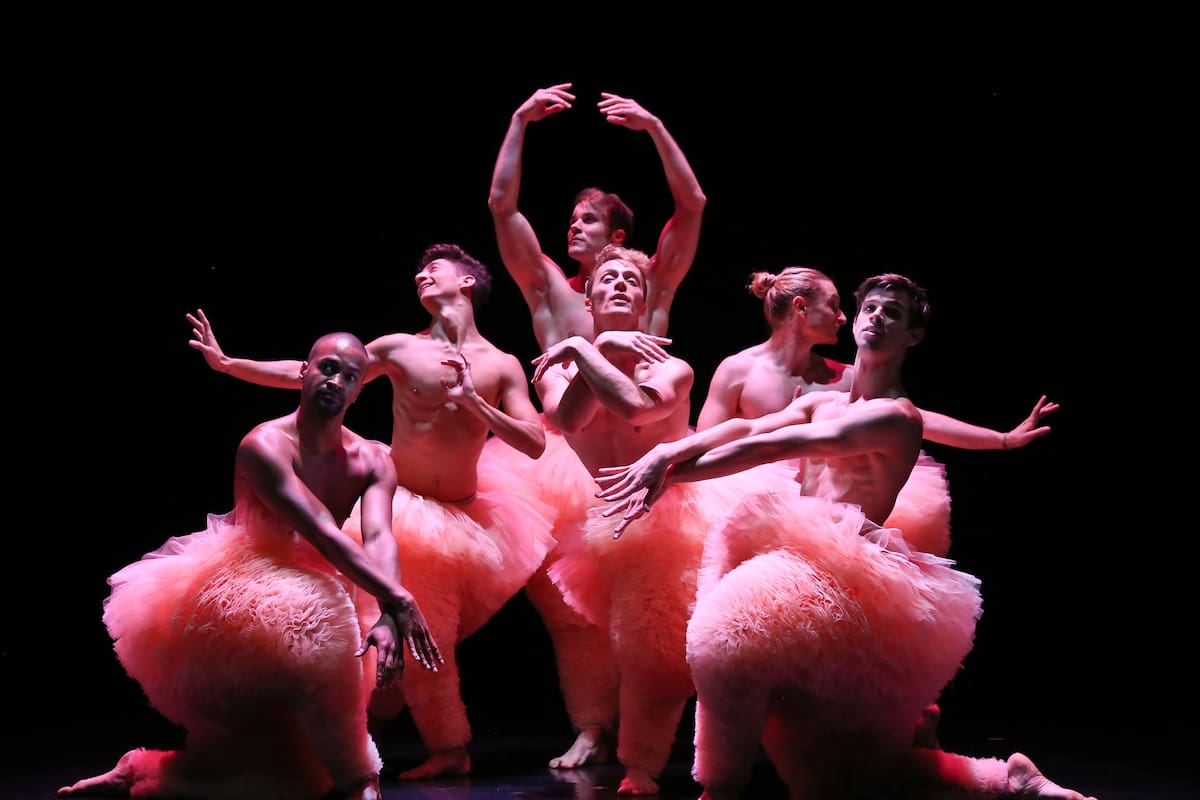 "Tutu", por canal Allegro