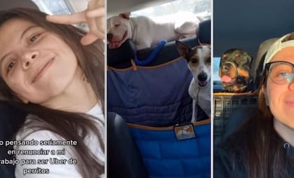 Uber para perritos (Foto: Captura de pantalla)