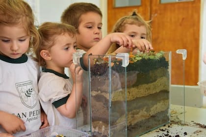 Ubicada junto a la Reserva Natural General San Martín, la escuela transformó sus espacios en un laboratorio vivo donde los alumnos desarrollan iniciativas de sostenibilidad, reciclaje y conservación ambiental
