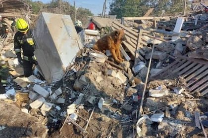 Ucrania difundió fotos de una zona en la ciudad de Dnipro devastada por un cohete ruso