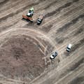 El escenario del trigo en un año Niño