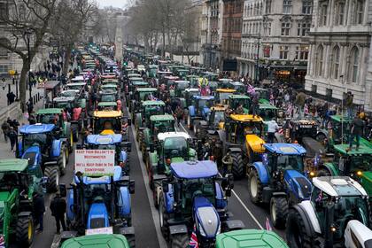 UE propone visión para el futuro de la agricultura que busca reducir la burocracia