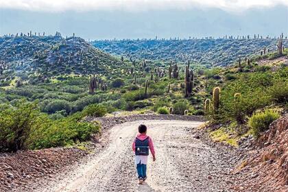 La baja terminalidad en ciertas provincias puede estar asociada a la escala productiva