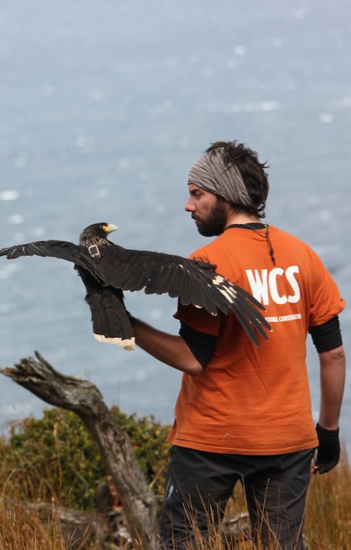 Ulises con el carancho