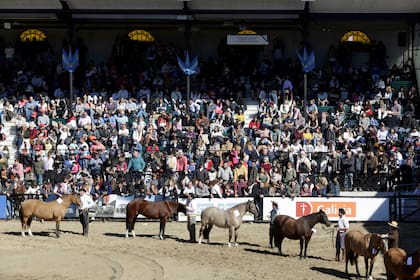 Último día de la exposición rural de Palermo