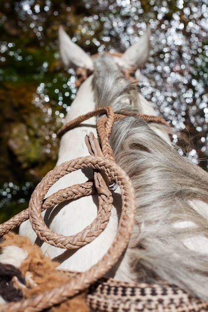 Último día. Un alto en el río El Churqui para hidratar a los caballos.