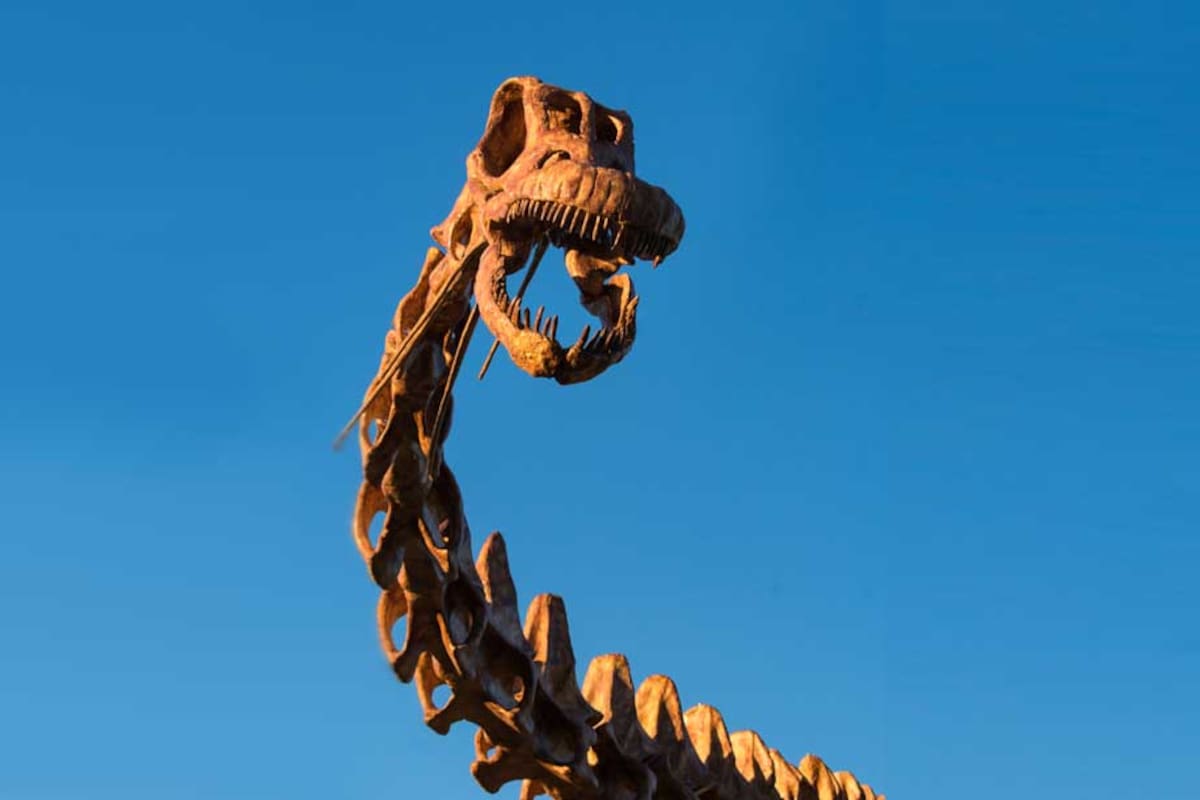 Último fin de semana para visitar el dinosaurio más grande del mundo